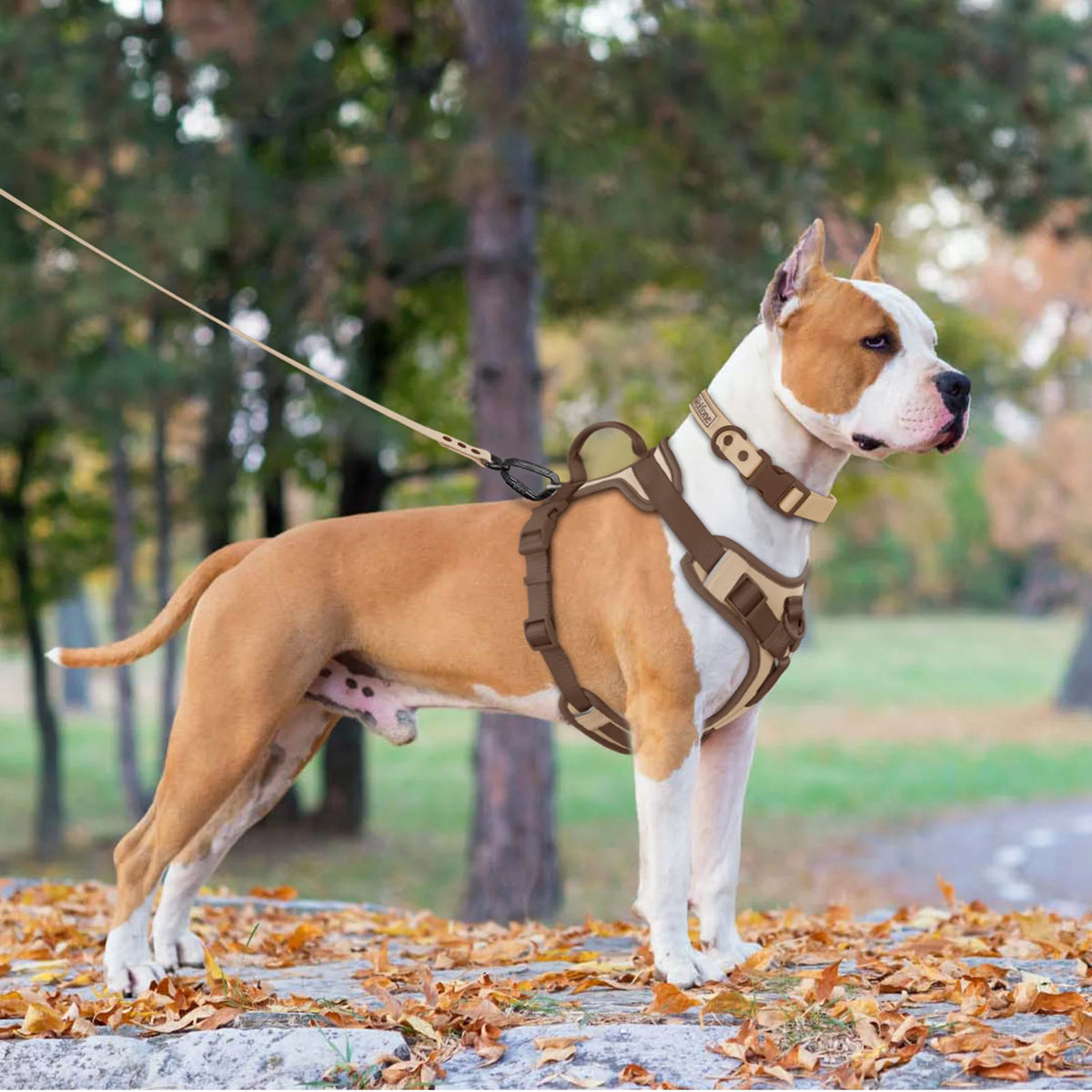 Coleira Sem Puxões, para Cães Grandes e Pequenos, Coleira Ajustável com Alça Peitoral Personalizada