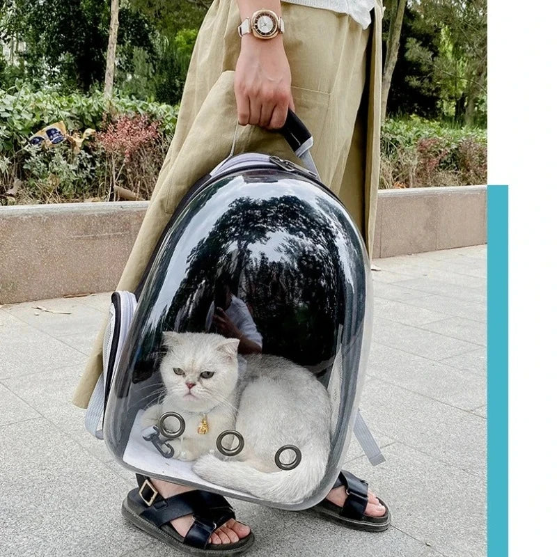 Mochila Transparente para Transporte de Animais de Estimação, Respirável e Portátil, para Cães, Gatos e Filhotes